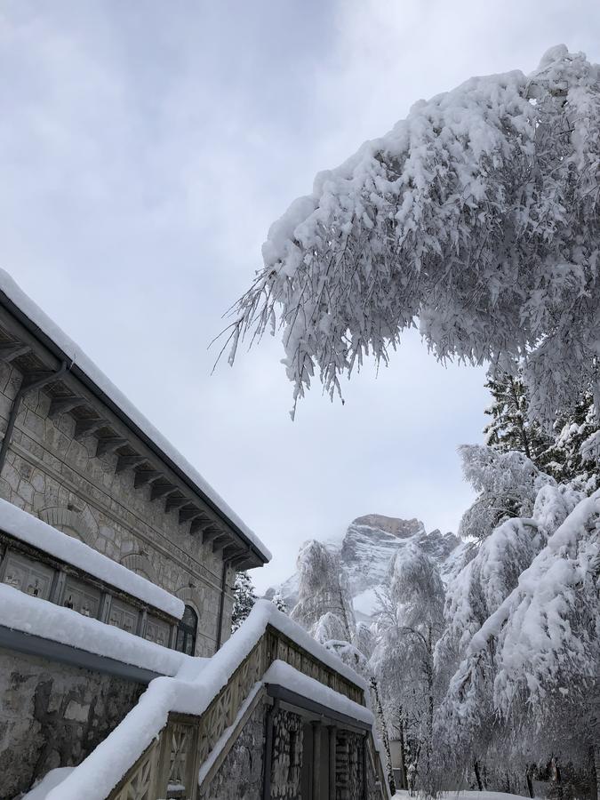Park Hotel Des Dolomites Borca di Cadore Buitenkant foto